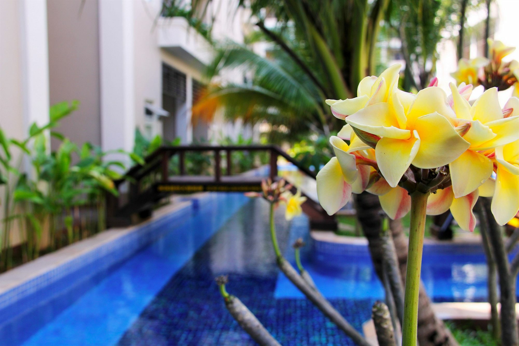 Bali Hotel Phnom Penh Ngoại thất bức ảnh